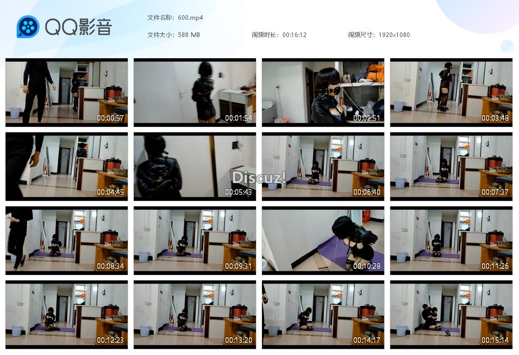 600[20260223-161945].jpg
